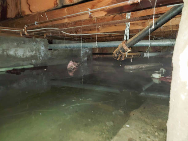 Best Water damage repair service  in Barton Creek, TX