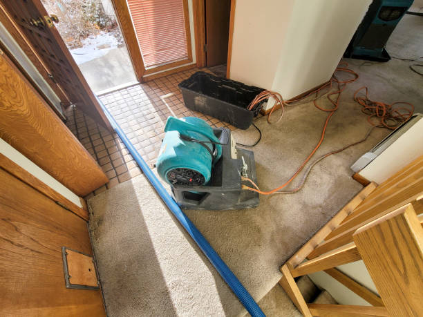 Best Basement water damage restoration  in Barton Creek, TX