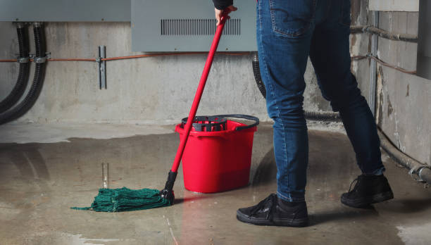 Best Water damage repair service  in Barton Creek, TX