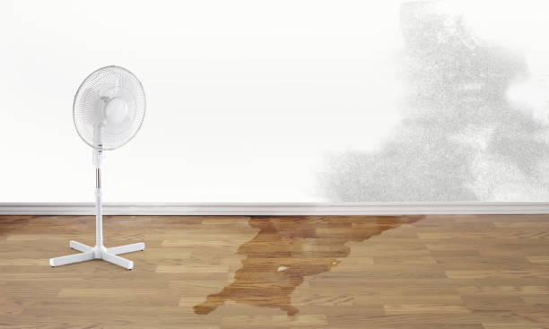 Best Ceiling water damage repair  in Barton Creek, TX