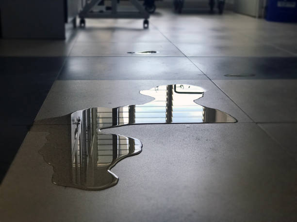 Best Water damage contractors near me  in Barton Creek, TX