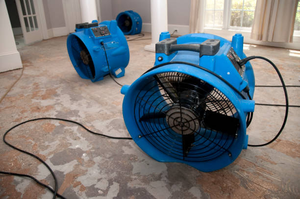 Best Mold removal after water damage  in Barton Creek, TX