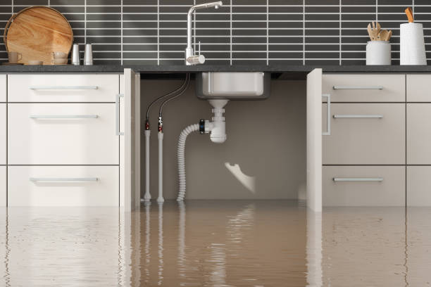 Barton Creek, TX Water damage restoration Company